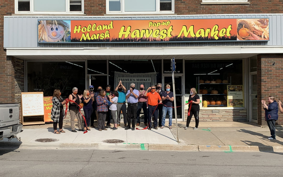 Holland Marsh Harvest Market “Pops-up” in Downtown BWG!