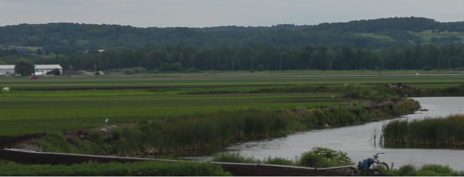 Holland Marsh image