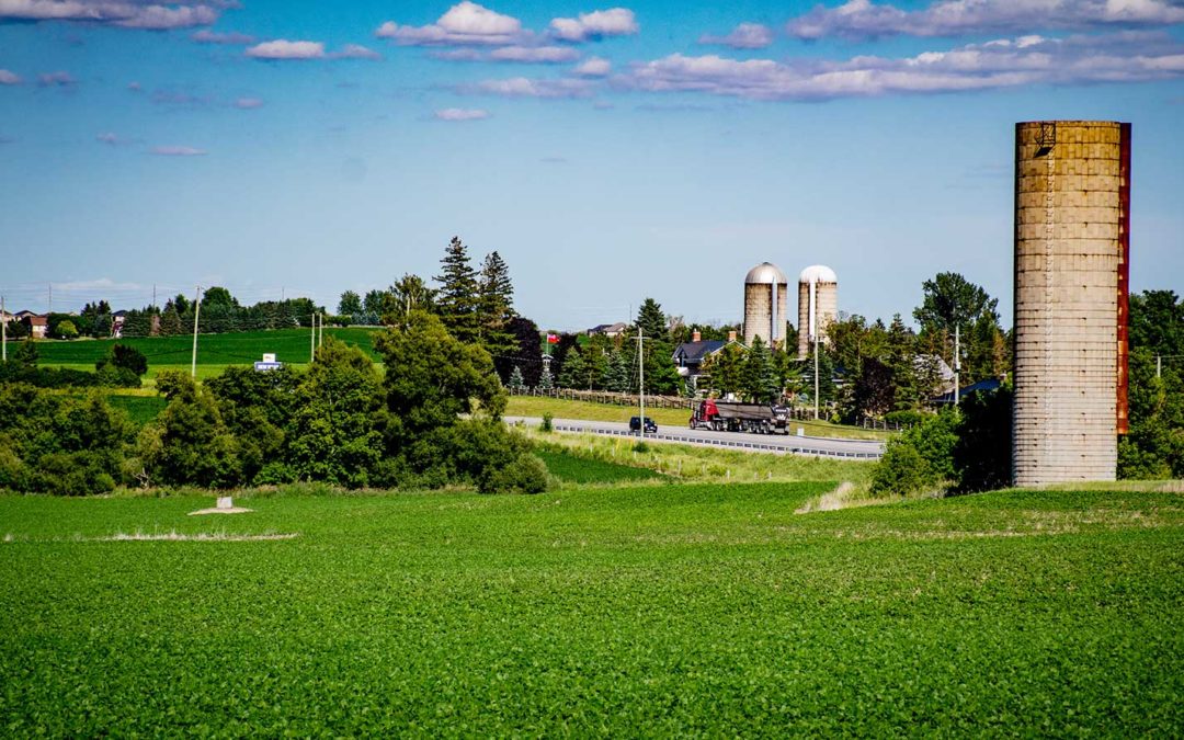 Simcoe County Promotes Agri-Tourism As Way For Sector to Remain Successful and Sustainable In 21st Century