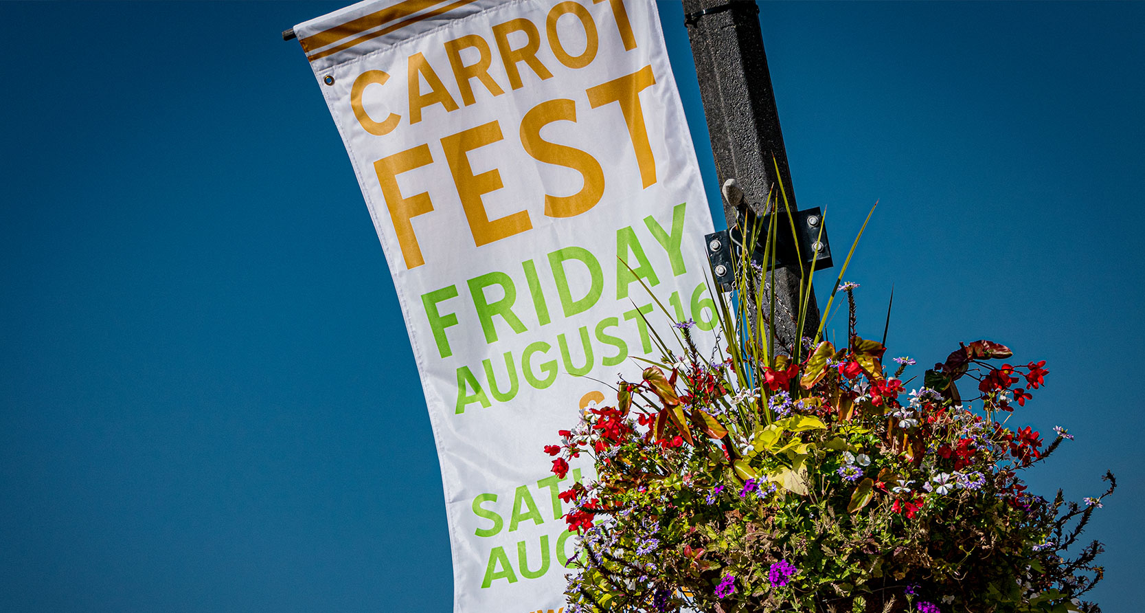 Carrot Fest