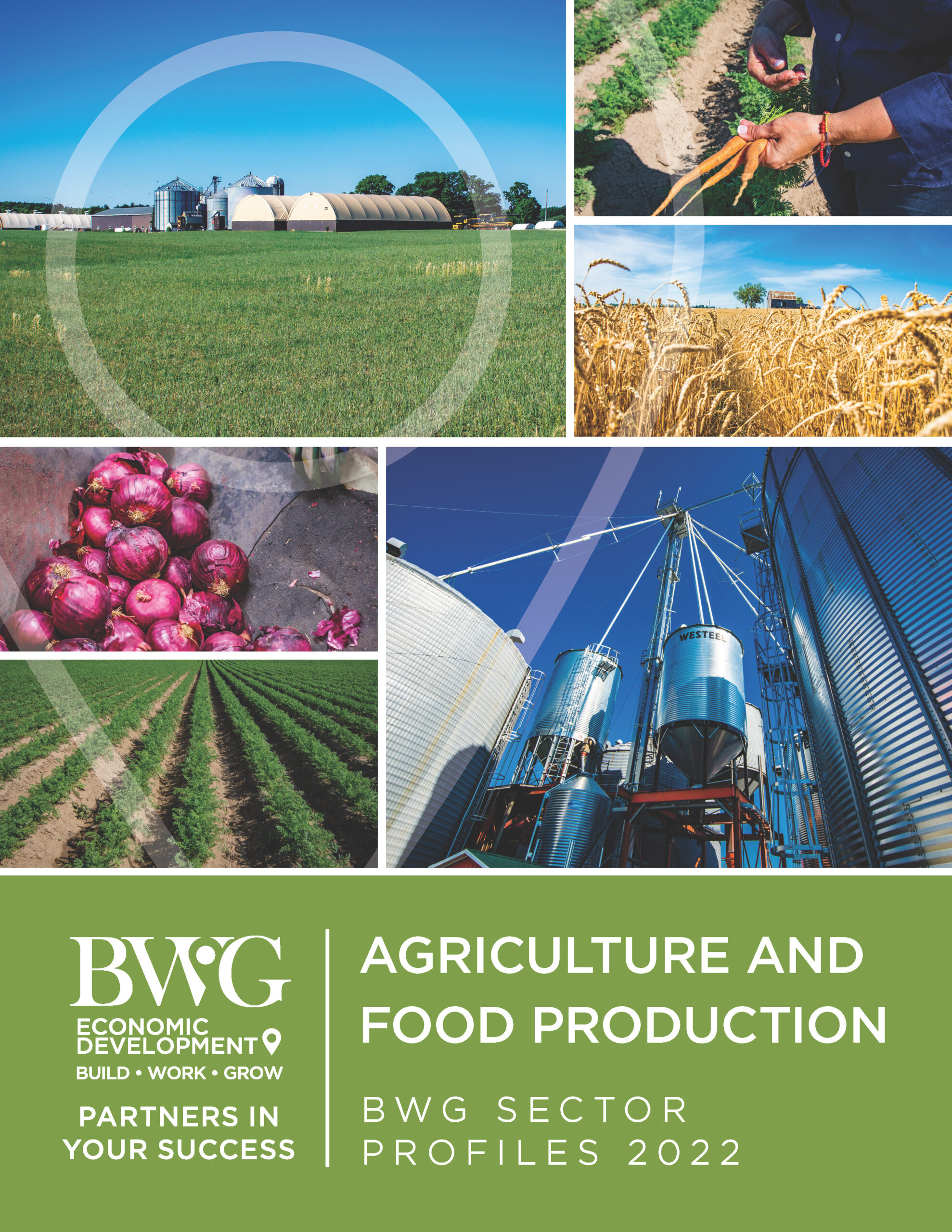 Cover of BWG Economic Development Investment Guide